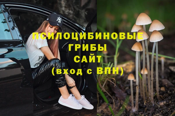 a pvp Армянск