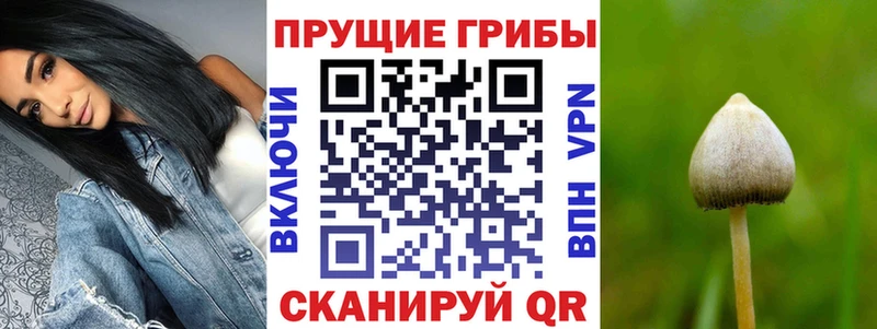 Галлюциногенные грибы Cubensis  Усмань 